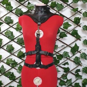 Neck Corset Add-on Harness