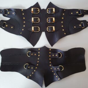 Steampunk Harness