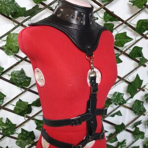 Neck Corset Add-On Harness