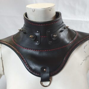 Neck Corset